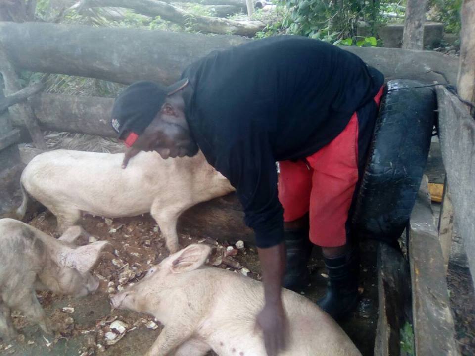 Livestock farming project, April 2018 - Ofie Support Unit (2)